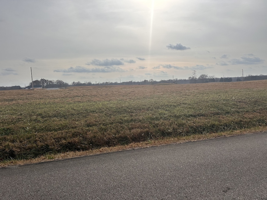 0 Rigling Rd unit RTC3051009, Loretto, TN 38469 - photo 1