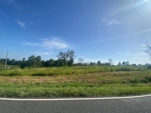 4 Mount Vernon Springs Rd, Siler City, NC 27344 - photo 1