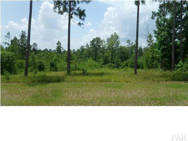 What a clear lot for a beautiful home!