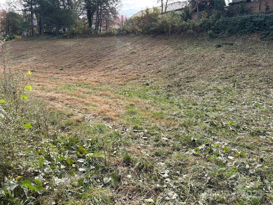 119, 123, 127 Randolph Ave, Black Mountain, NC 28711 - photo 1