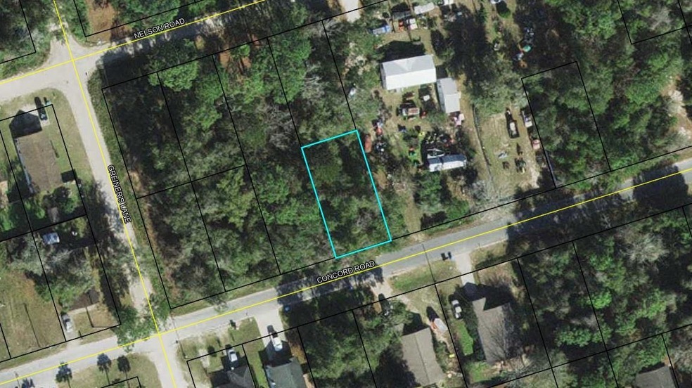 XXX Concord Rd, Crawfordville, FL 32327 - photo 1