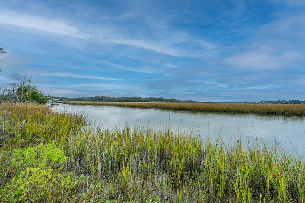 8737 Peters Point Rd, Edisto Island, SC 29438 - photo 1