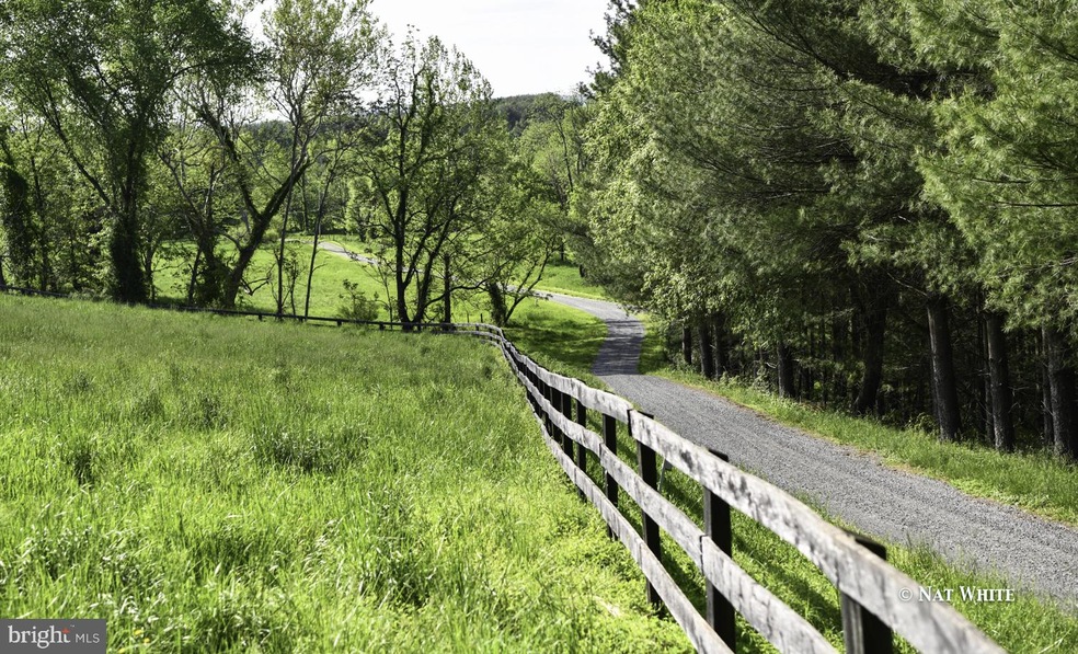 16278 Hampton Rd, Hamilton, VA 20158 - photo 1