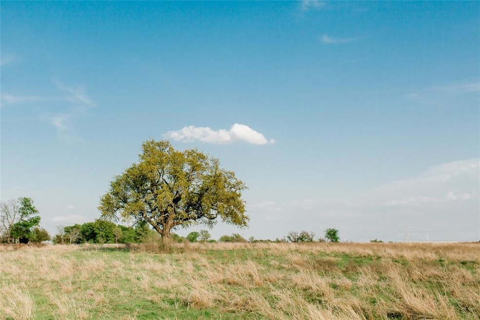 TBD 52 Latigo Way, Weatherford, TX 76088 - photo 1