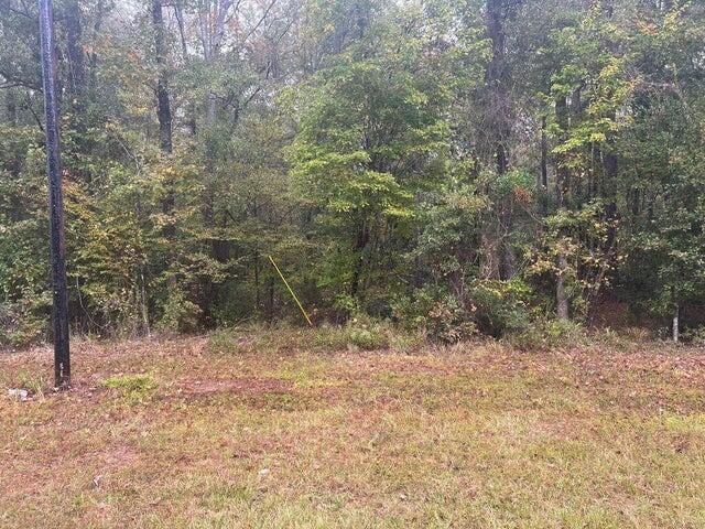 Jarrell Loop, Evans, LA 70639