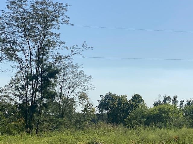 2 Mount Vernon Springs Rd, Siler City, NC 27344 - photo 1