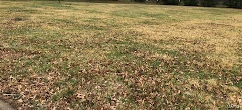 58 Dolan Ln, Jerseyville, IL 62052 - photo 1