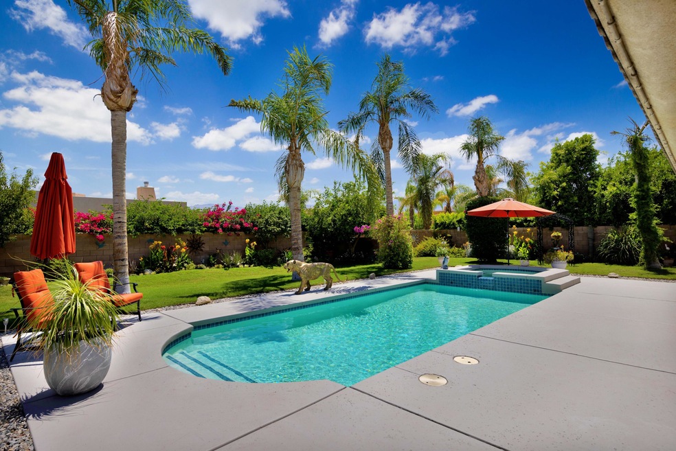 Georgeous Backyard