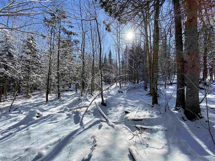 21 Boudreau Ln unit 21, Stewartstown, NH 03576 - photo 1