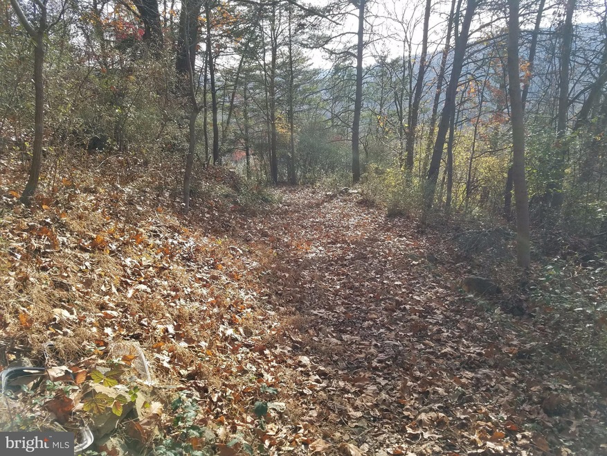 0 Golden Russet Dr unit 1004130541, Linden, VA 22642 - photo 1