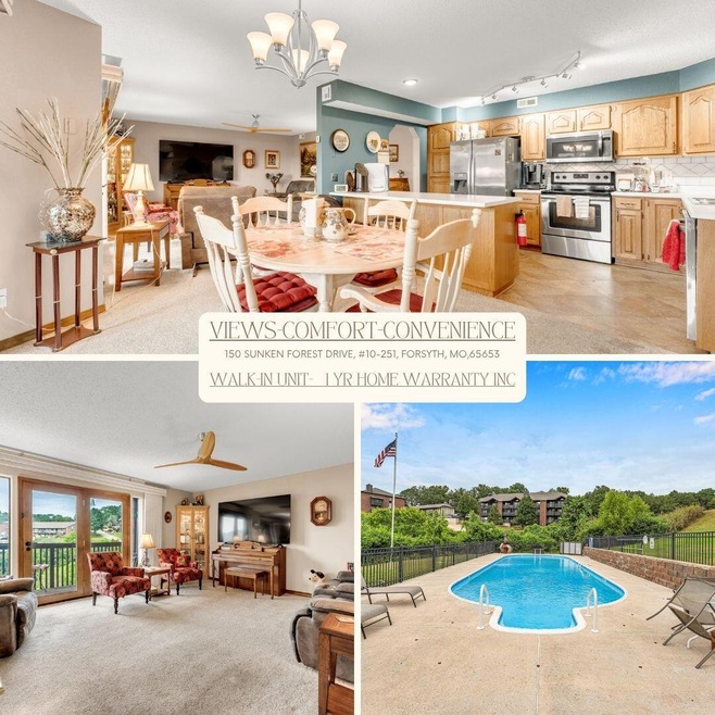 150 Sunken Forest Dr unit 10-251, Forsyth, MO 65653 - photo 1