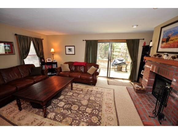 297 Vt Route 100 unit E, West Dover, VT 05356 - photo 1