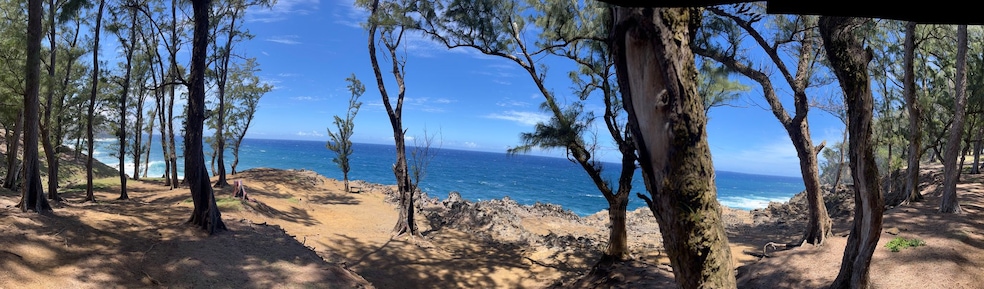 45-5060 Nanaina Kai Rd, Honokaa, HI 96727 - photo 1