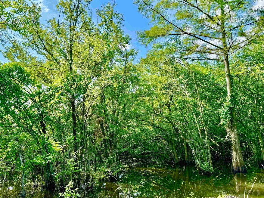 417 Old Tejas Trail W, Hemphill, TX 75948 - photo 1