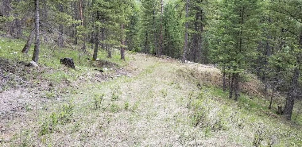 Nhn Springhill Rd, Kila, MT 59920 - photo 1