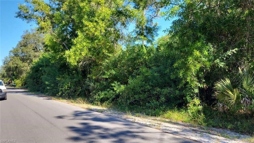 118 Irving Ave, Lehigh Acres, FL 33936 - photo 1