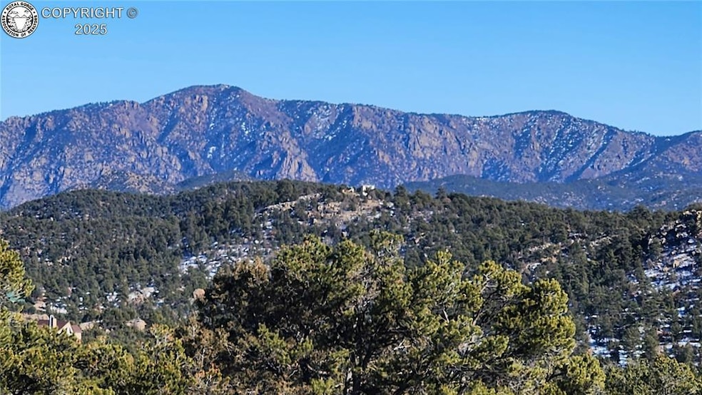 TR-82 35th Trail, Cotopaxi, CO 81223 - photo 1