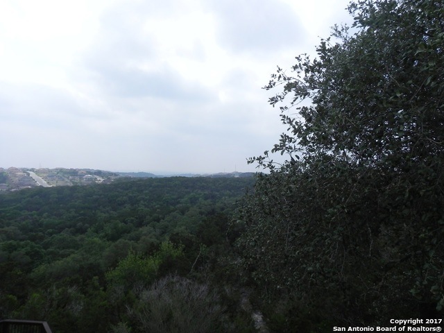 8518 Terra Mont Way, San Antonio, TX 78255 - photo 1