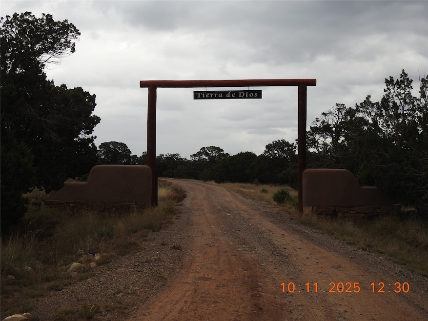1C Tierra de Dios, Rowe, NM 87567 - photo 1