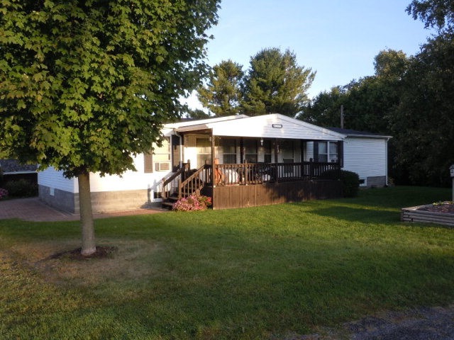 Main View