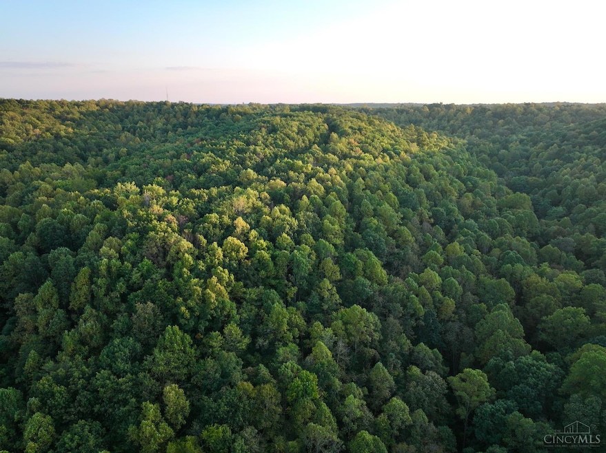 0 S Side Chenoweth Fork Rd, Sunfish Township, OH 45660 - photo 1