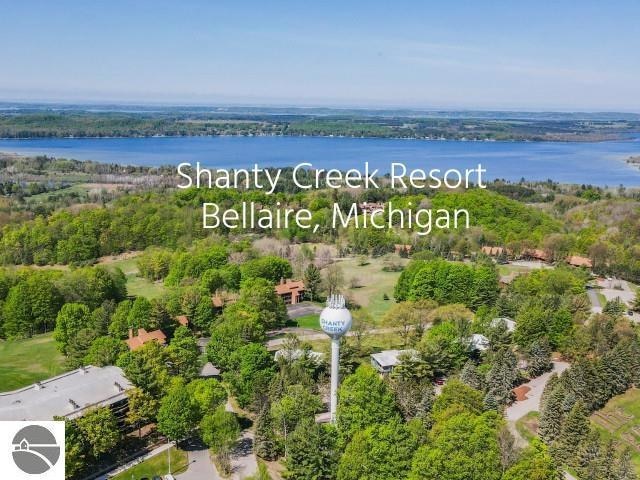 5828 Shanty Creek Rd unit 438, Bellaire, MI 49615 - photo 1