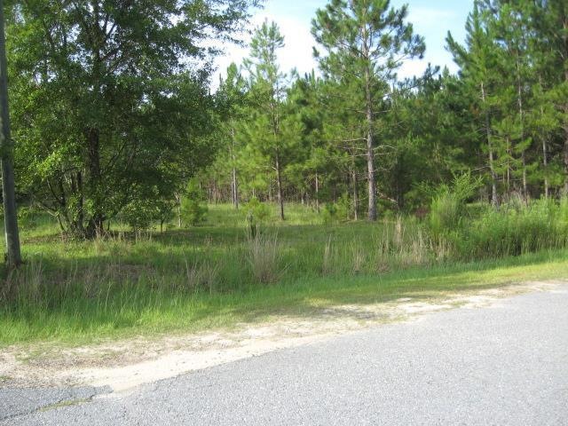 1906 Transus Dr, Vidalia, GA 30474 - photo 1