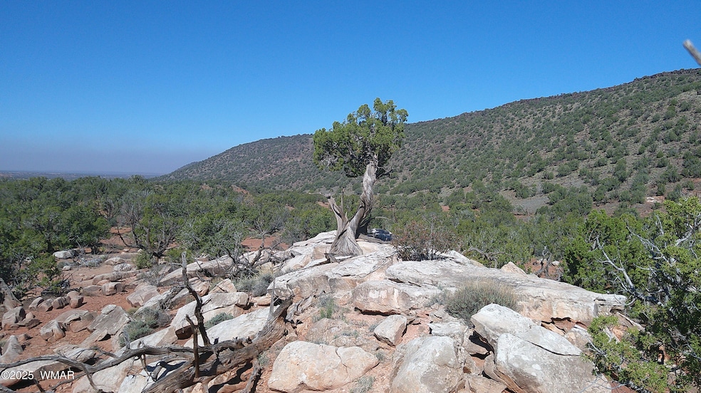 9591 Privette Ln, Snowflake, AZ 85937 - photo 1