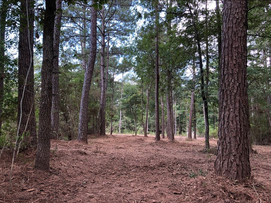 Sold • Co-Listing Agent