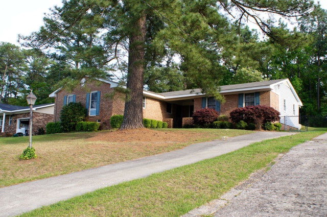 Main View