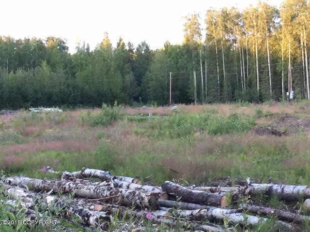 3981 S Tailwind Cir, Big Lake, AK 99652 - photo 1