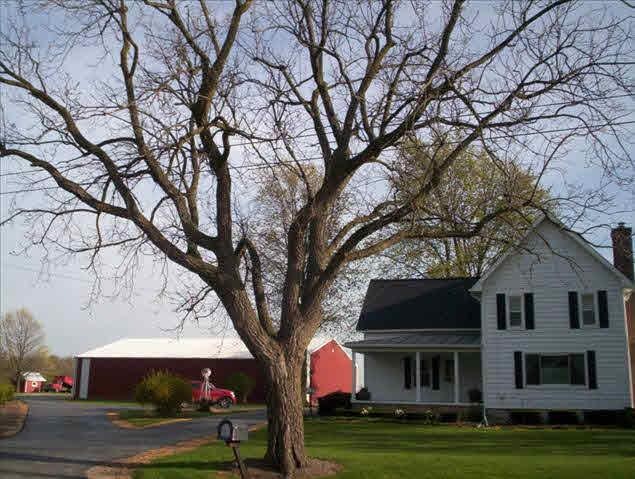 Centennial Farm