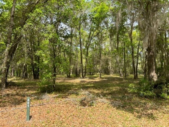 Lot 401 Blackberry Ln NE, Shellman Bluff, GA 31331 - photo 1