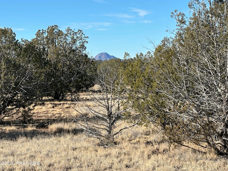 2249 W Cienega Dr, Ash Fork, AZ 86320 - photo 1