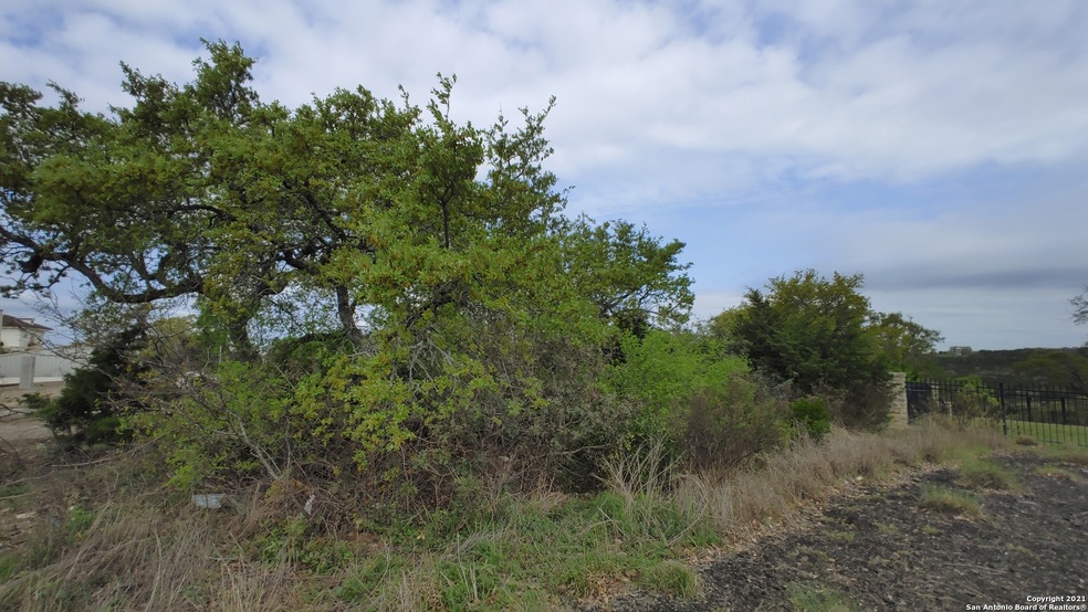 8811 Terra Mont Way, San Antonio, TX 78255 - photo 1