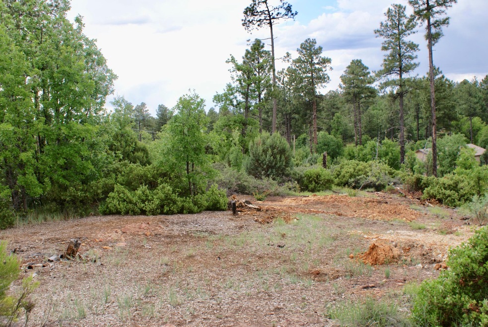 882 Geronimo Ln, Show Low, AZ 85901 - photo 1
