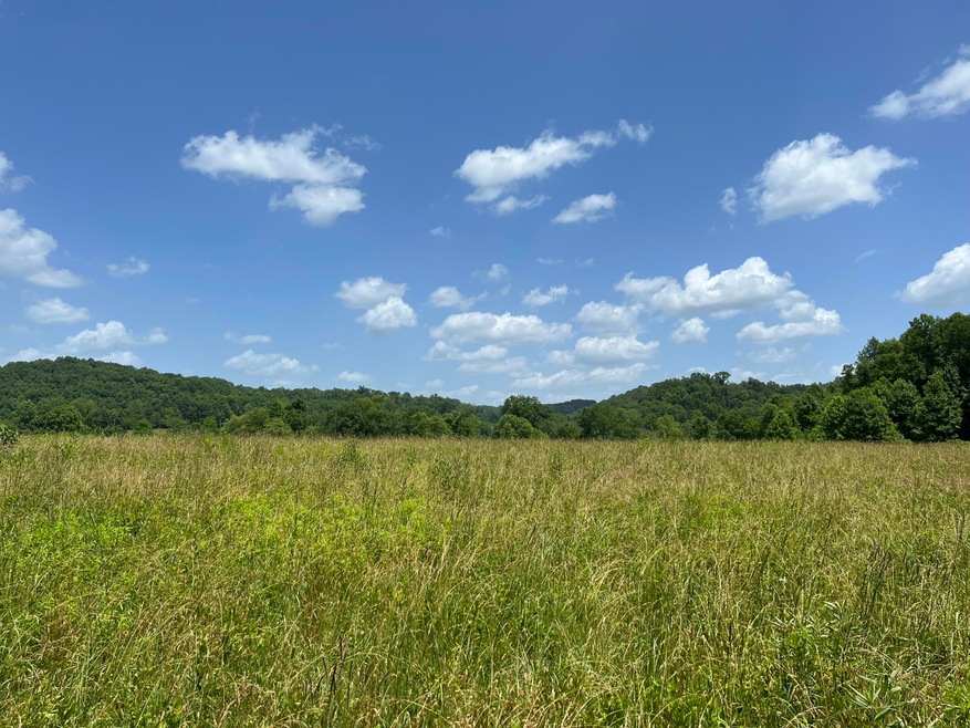 999 Big Barn Rd, Tyner, KY 40486 - photo 1