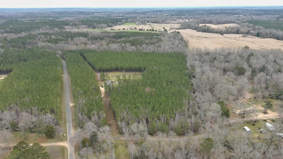 #4 Anderson Rd, Wesson, MS 39191 - photo 1