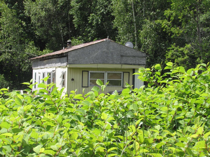 731 Mines Rd, Lowell, VT 05847 - photo 1