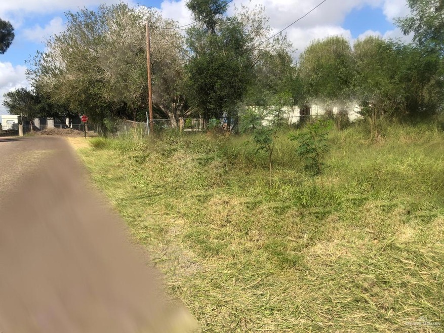 000 Tazz St, Donna, TX 78537 - photo 1