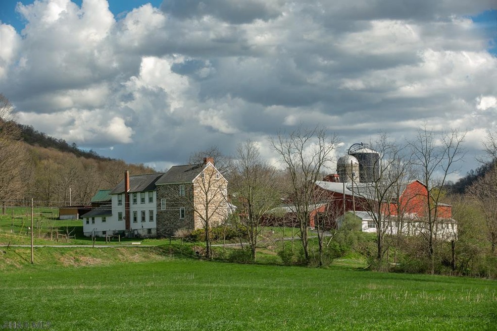 Main View