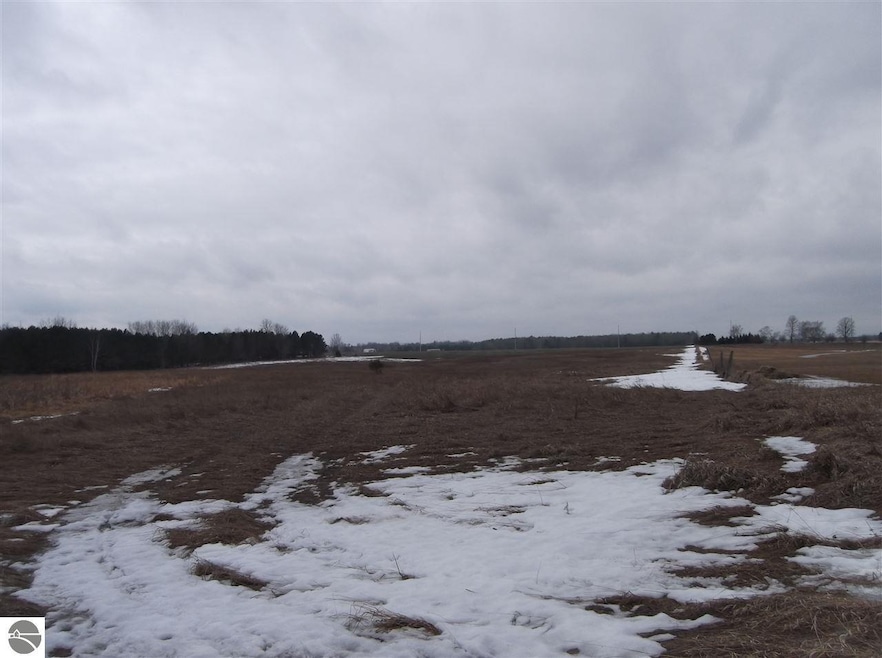 00 Galion Rd, Hale, MI 48739 - photo 1