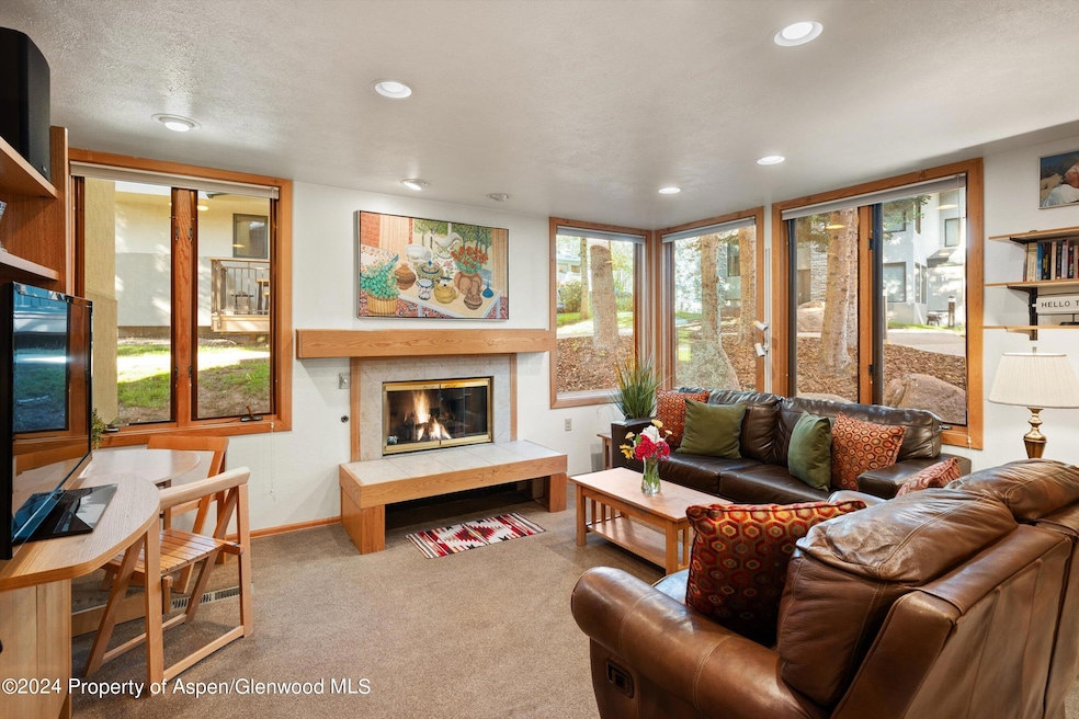 135 Carriage Way unit 22, Snowmass Village, CO 81615 - photo 1