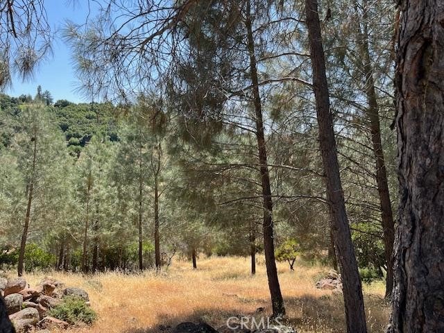 10353 Walnut Way, Kelseyville, CA 95451 - photo 1