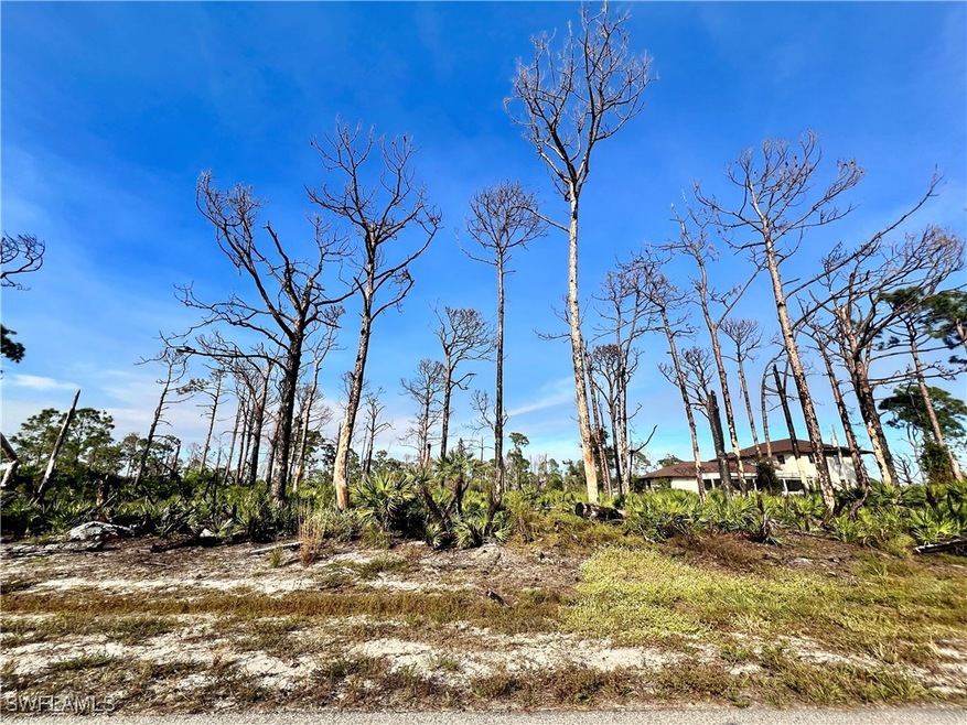 View of local wilderness