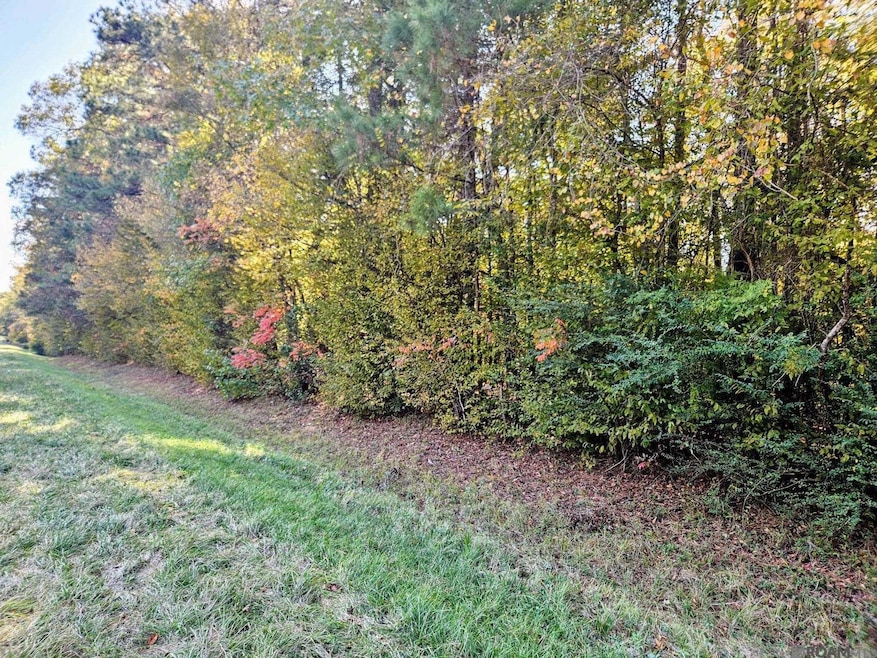 TBD Tunica Trace, Saint Francisville, LA 70775 - photo 1