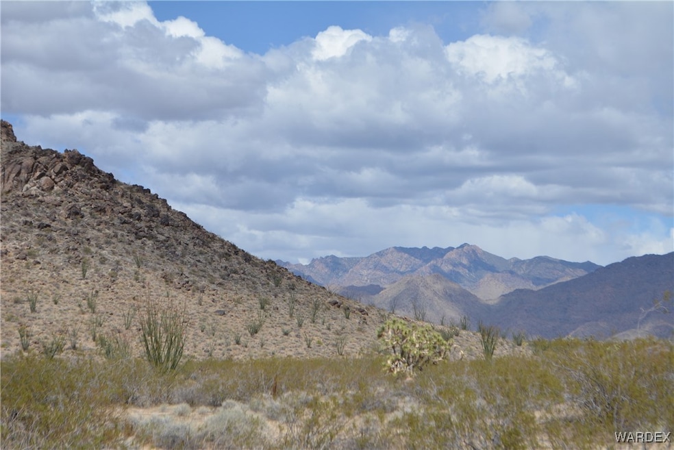 Hualapai Mountain View