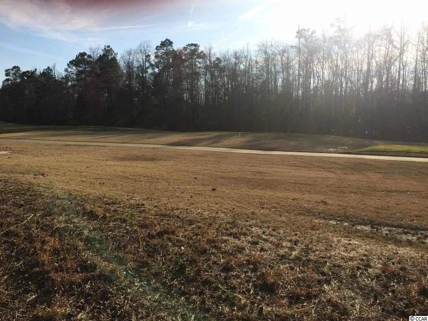 Lot 11 Bantry Ln, Conway, SC 29526 - photo 1