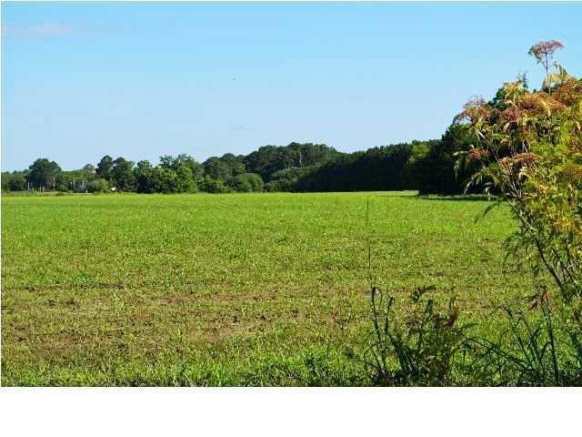 20 acre pasture!