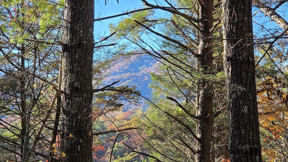 38 AC Tumbling Creek Rd, Postelle, TN 37317 - photo 1